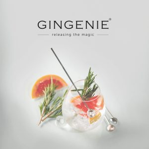 Gin Glass and GineGenie