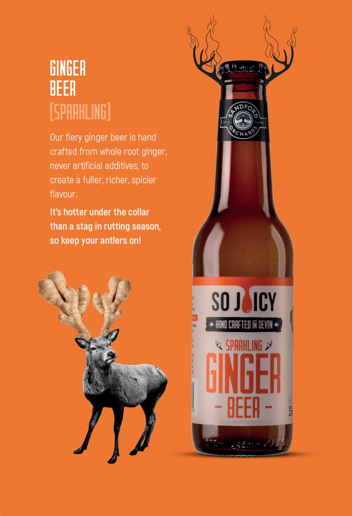 Ginger Beer Packaging Design